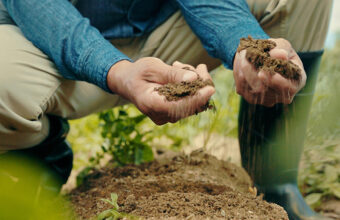 Thumbnail of Green Business Loan